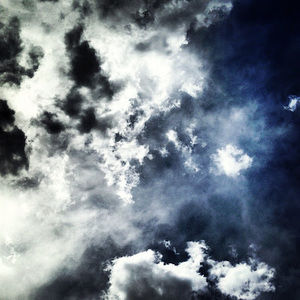 Meet your Posher, Mitch william